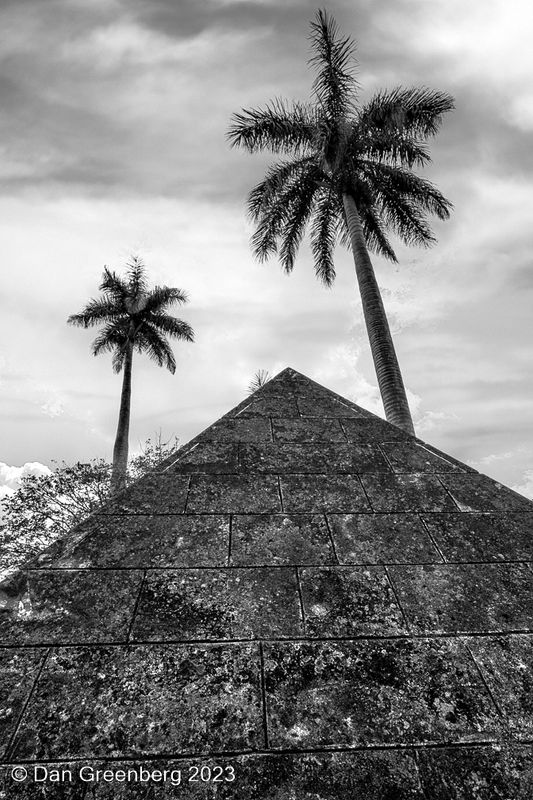 Pyramid and Palm Trees