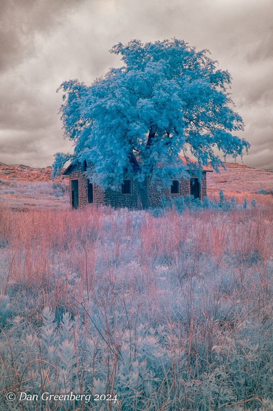 Stone Cabin and Lone Tree