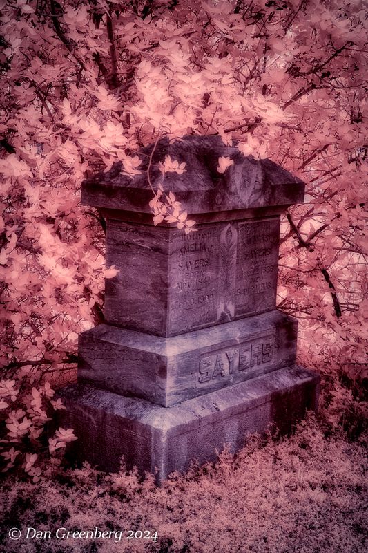 Overgrown Gravesite 