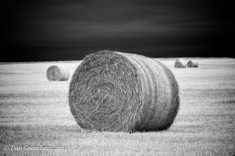 Hay Bales