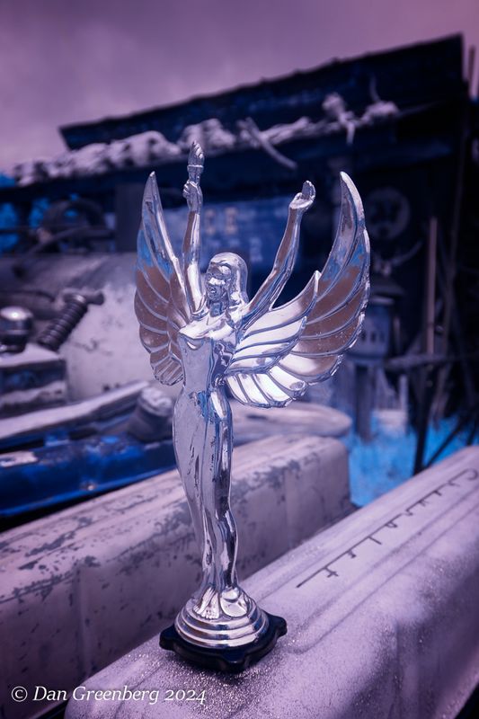 Misplaced Hood Ornament