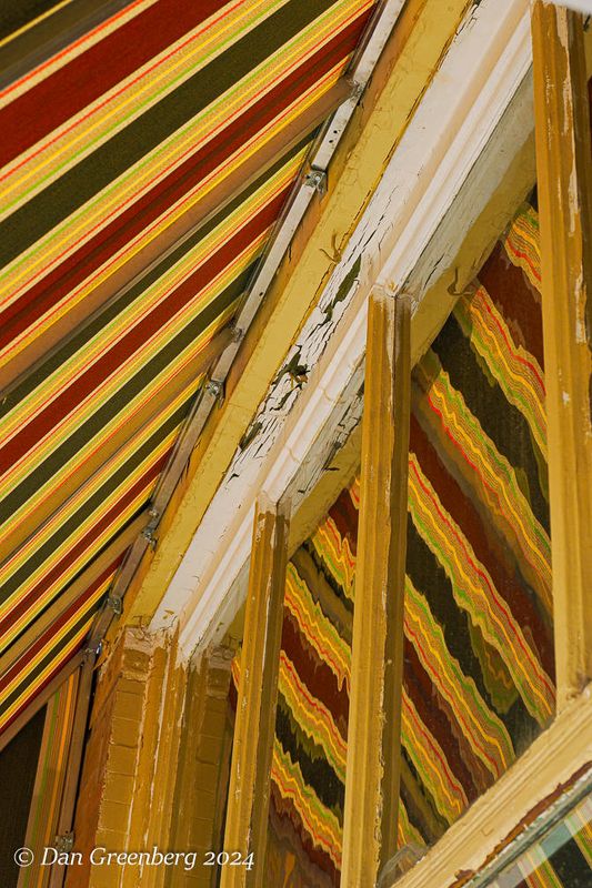 Canopy Reflections