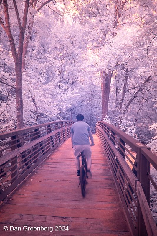 Crossing the Bridge