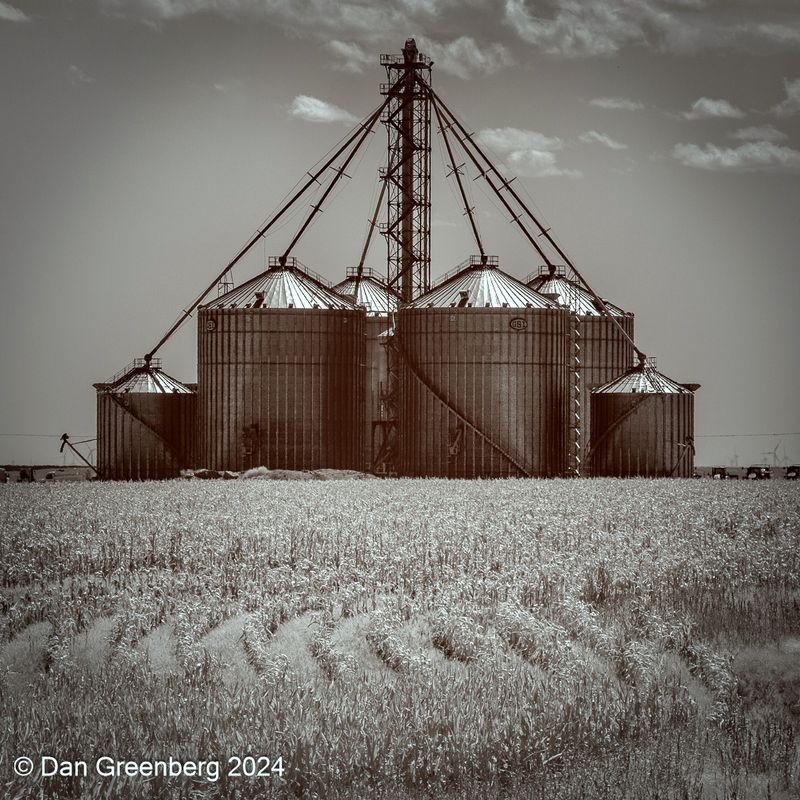 Grain Complex