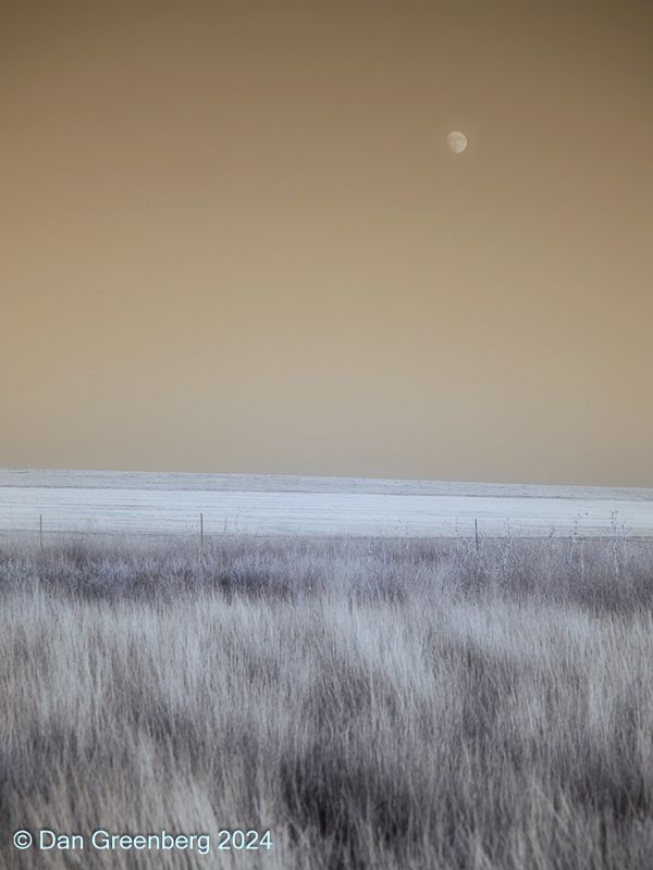 Late Afternoon Moon