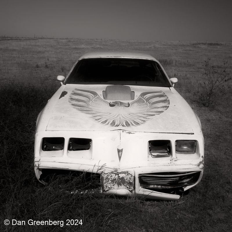 1979-81 Pontiac Firebird Trans Am