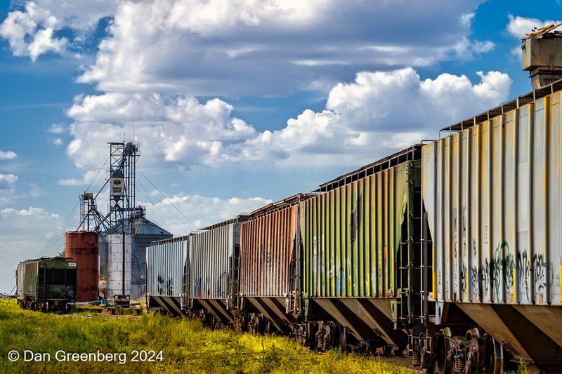 Grain Hopper Railroad Cars