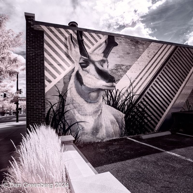 Antelope Mural