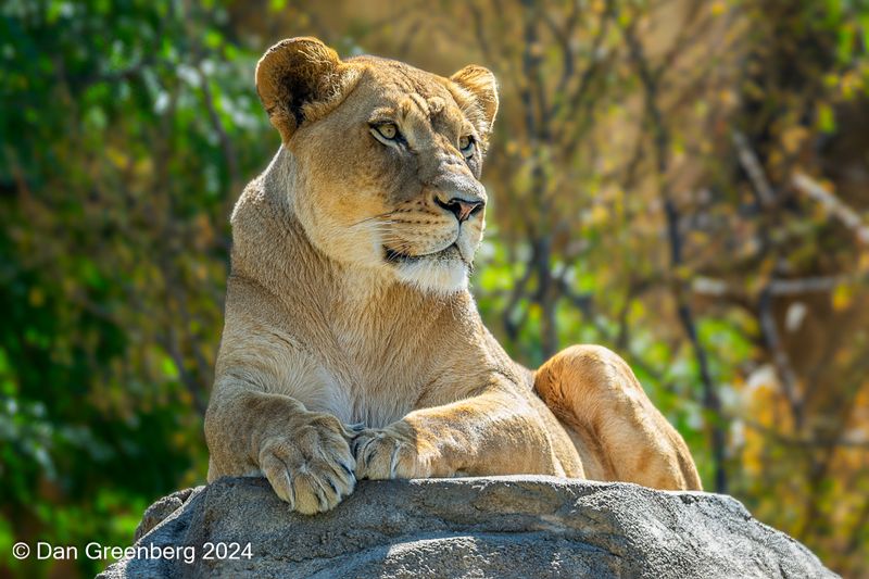 Surveying Her Domain