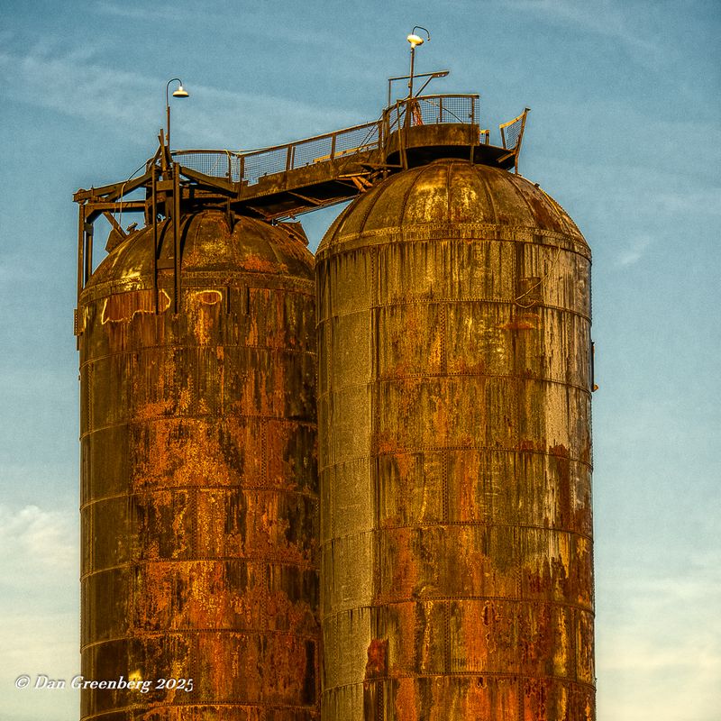 Golden Rust