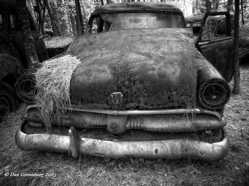 1953 Ford