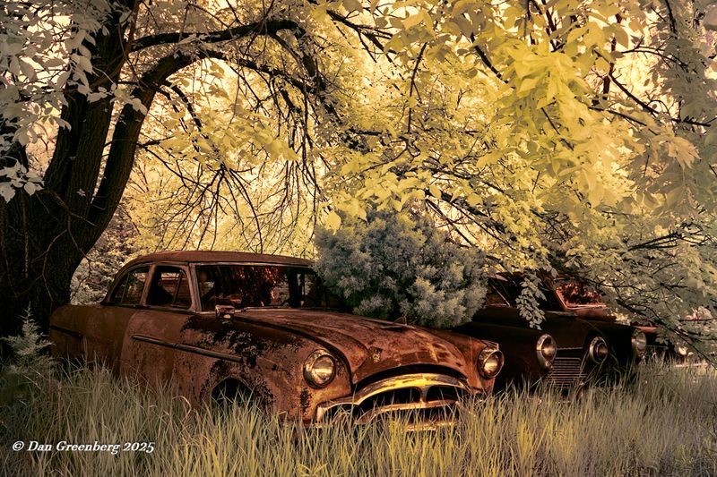 Eclectica (10 Galleries)