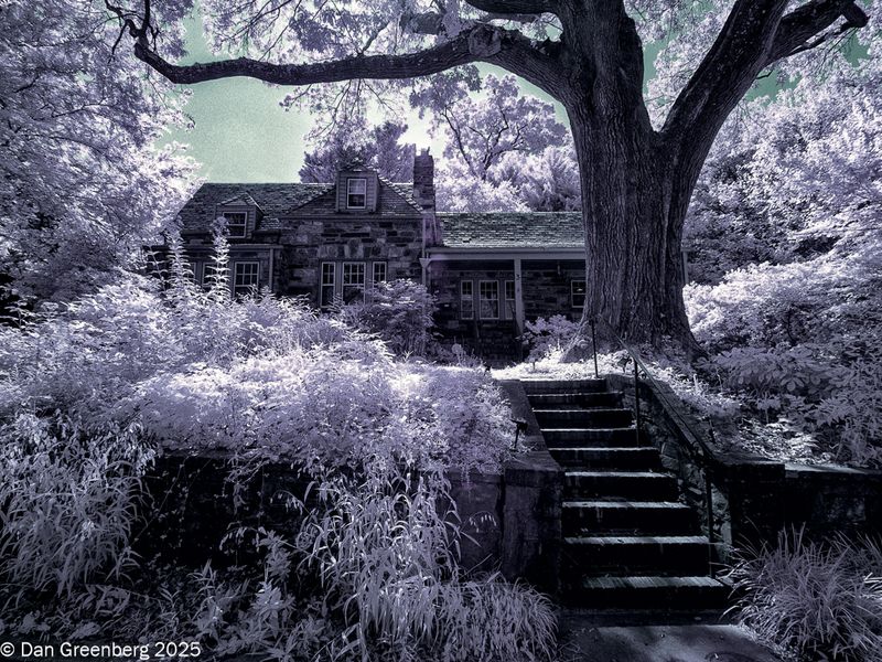 Stone House with Wild Front Yard