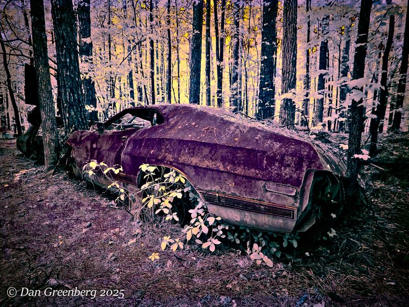 Old Car City