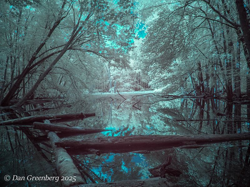 Mysterious Pond