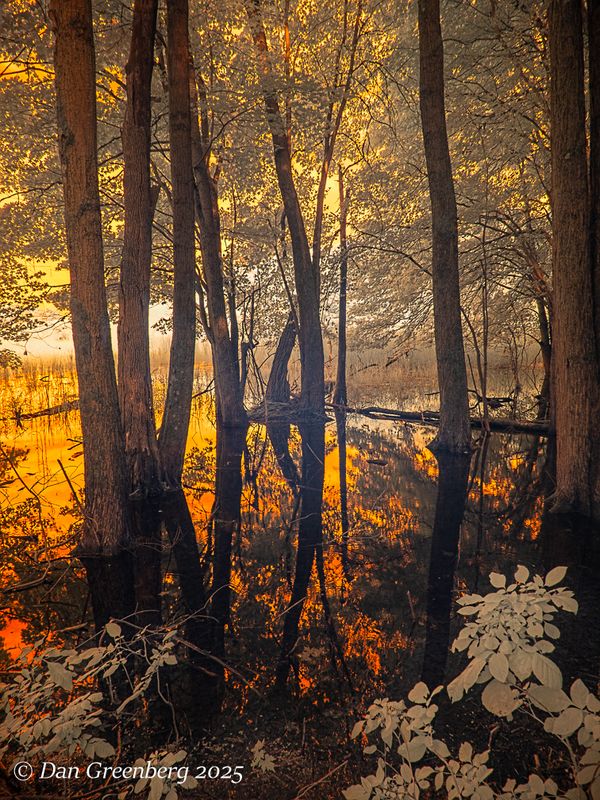 Fun with Infrared