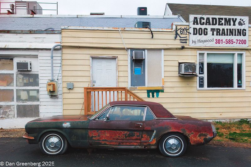 Relics in the Wild 2