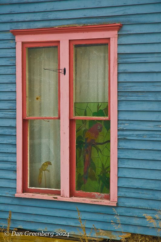 The Parrot