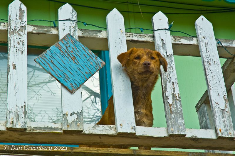 Why are you looking at me?