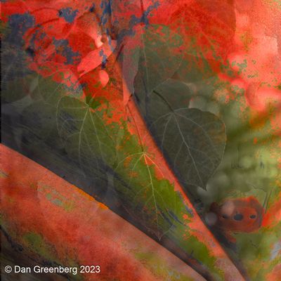 g13/17/816317/3/104449151.d5c8ba15.JPEG