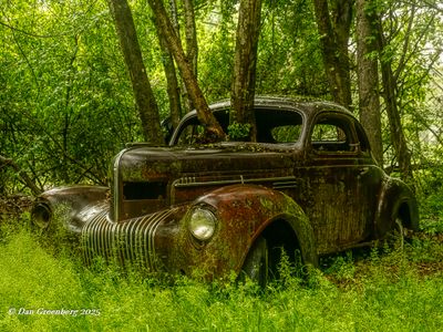 Featured Gallery