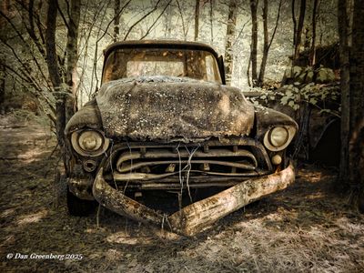 Featured Gallery