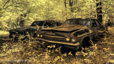 Featured Gallery