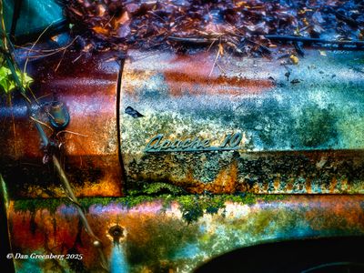 Featured Gallery