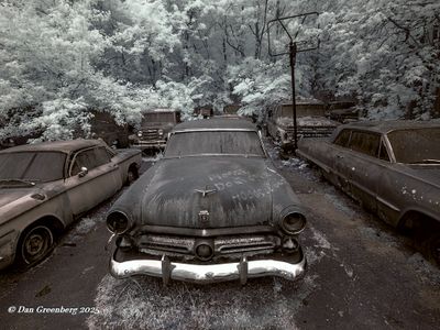 Featured Gallery