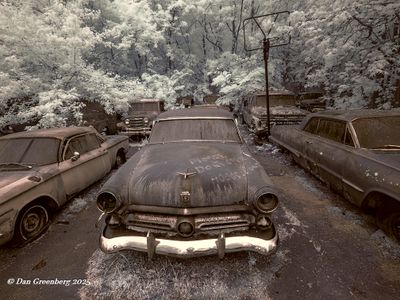 Featured Gallery