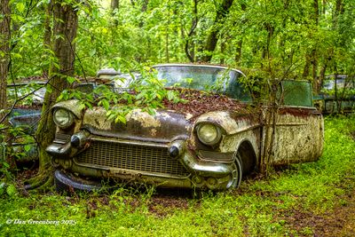 Featured Gallery