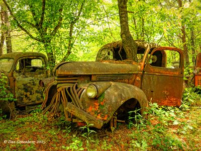 Featured Gallery