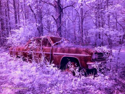 Featured Gallery