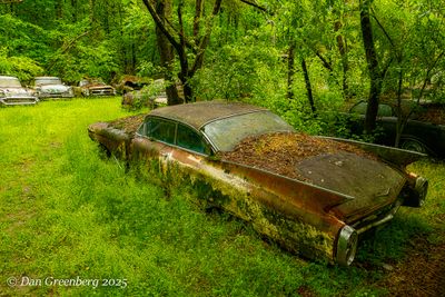 Featured Gallery