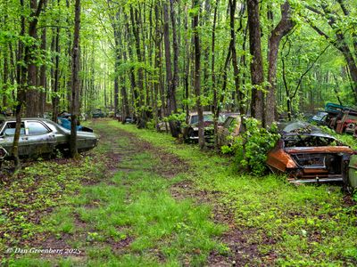 Featured Gallery