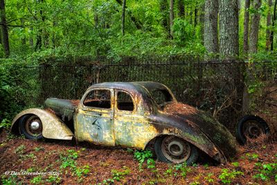 Featured Gallery