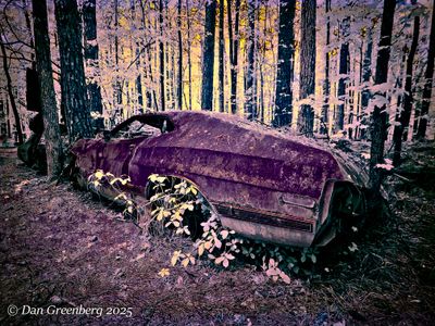 Featured Gallery