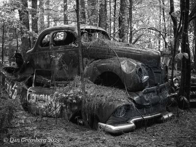 Featured Gallery