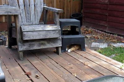 105 Farenheit on his deck