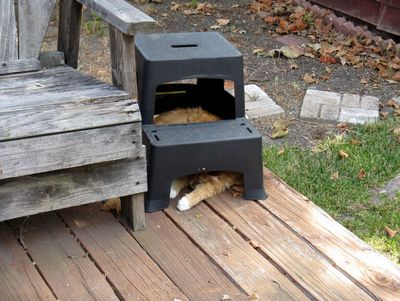 In Box