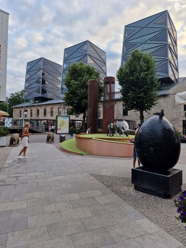 Rotermanni in summer