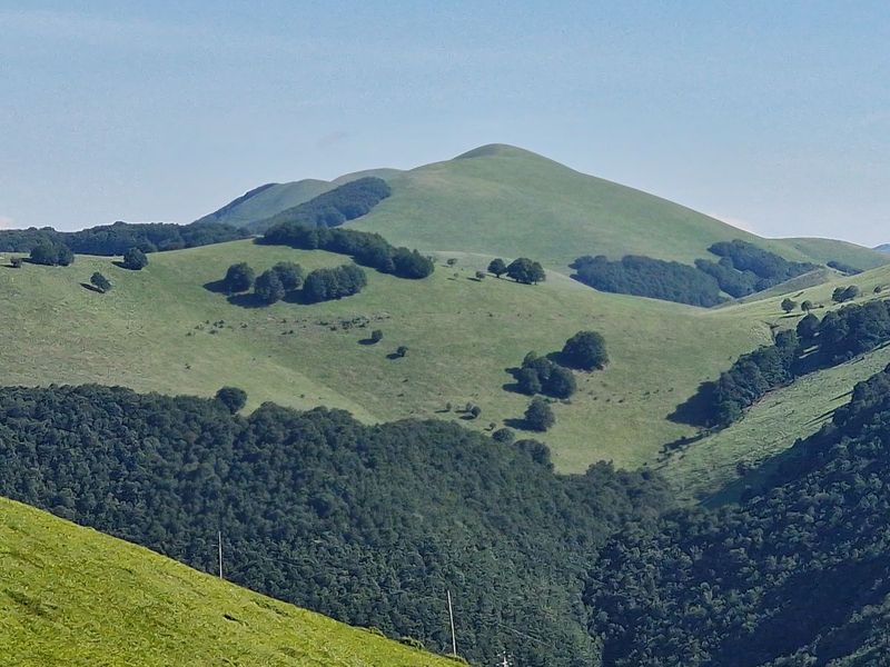 Castellucio