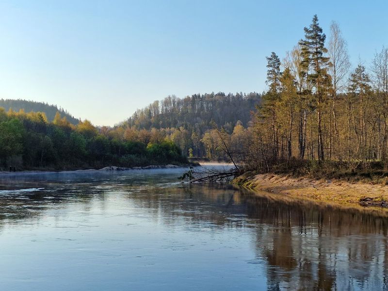 Gauja near Cesis