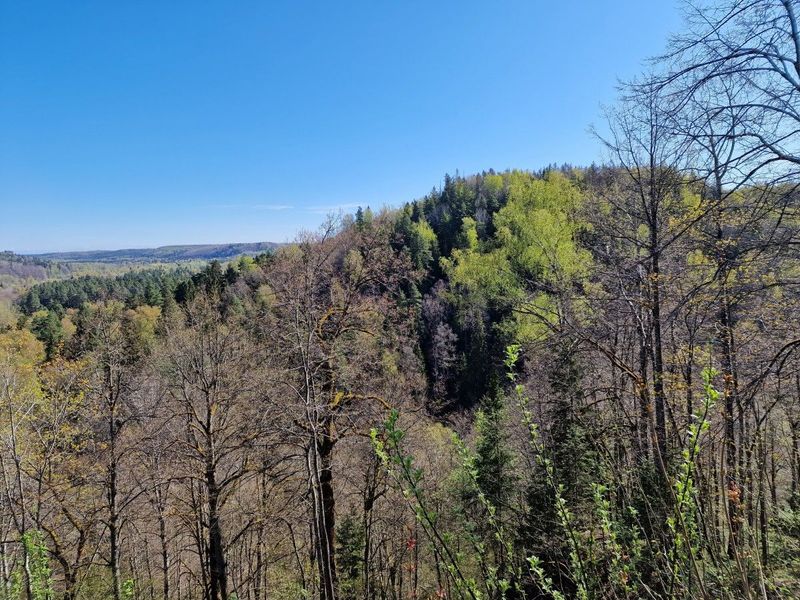 Sigulda - Ligatne trail