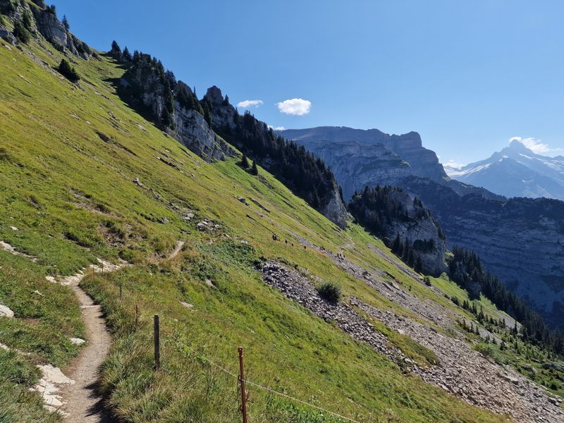 Schynige Platte