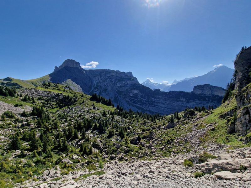 Schynige Platte