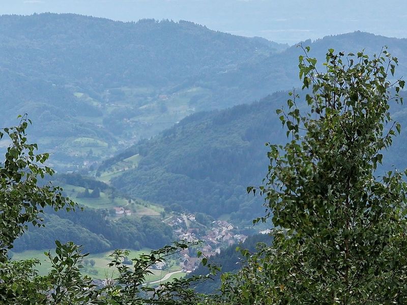 Schwartzwald