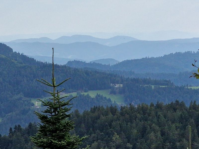 Schwartzwald
