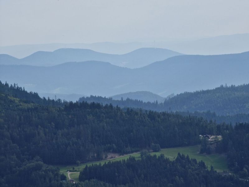 Schwartzwald