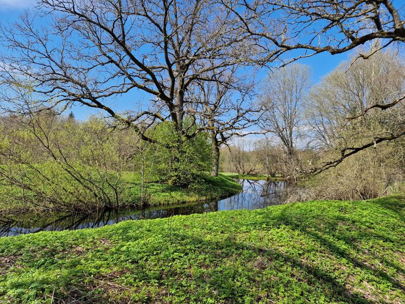 Vidzeme Highlands near Licupe